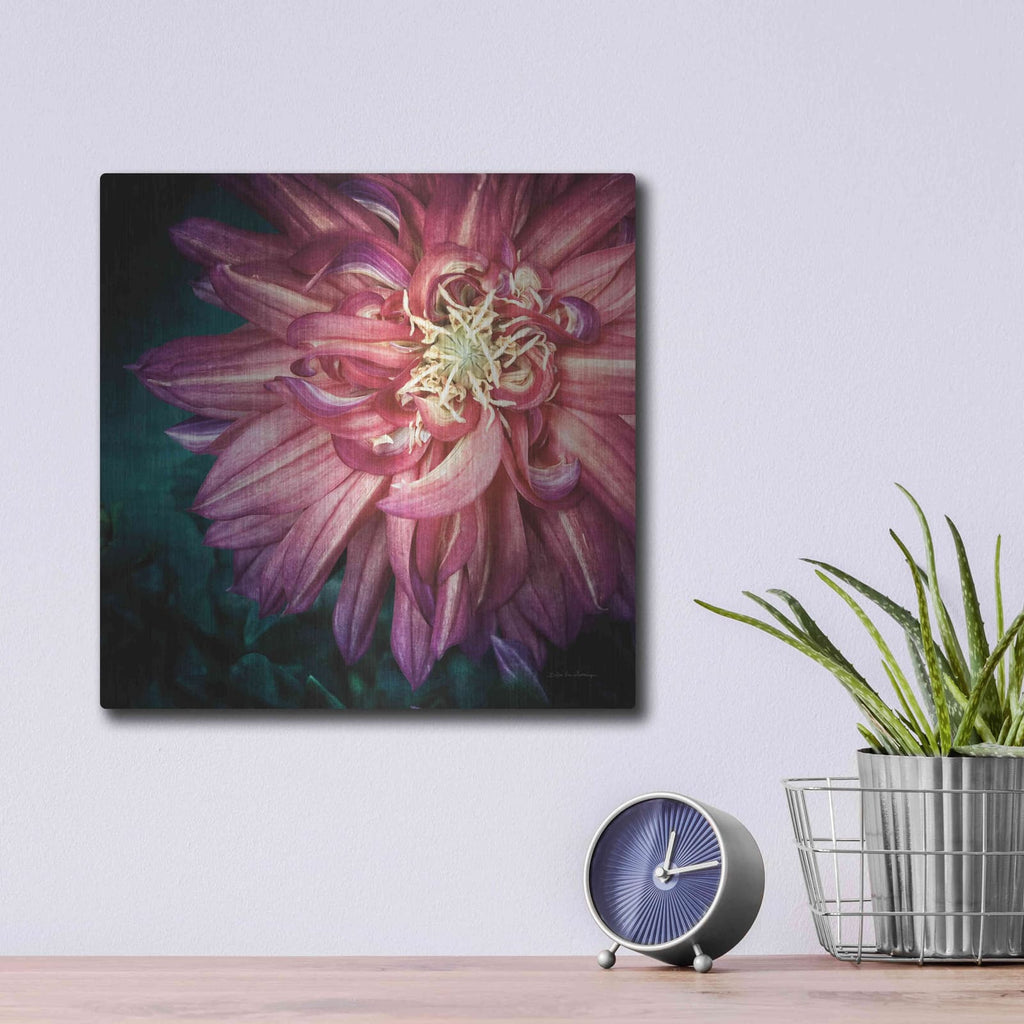 'Dahlia II' by Debra Van Swearingen – Metal Wall Art, 12x12 room view