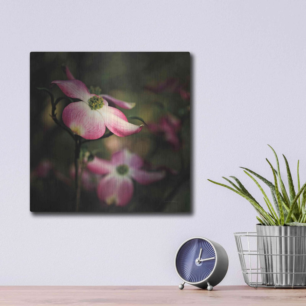 'Pink Dogwood II' by Debra Van Swearingen – Metal Wall Art, 12x12 room view