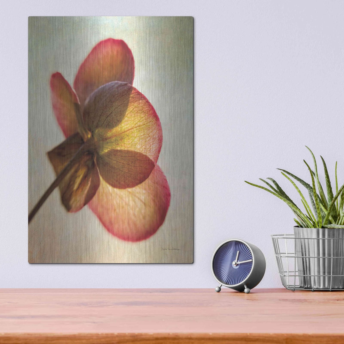 'Lenton Rose I' by Debra Van Swearingen – Metal Wall Art, 12x16 room view