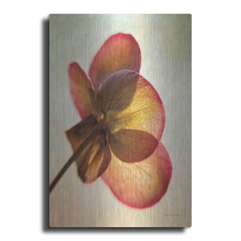 'Lenton Rose I' by Debra Van Swearingen – Metal Wall Art