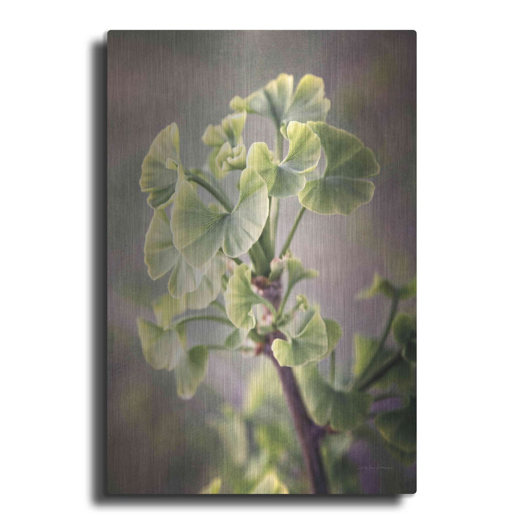 'Sprouting Ginkgo I' by Debra Van Swearingen – Metal Wall Art