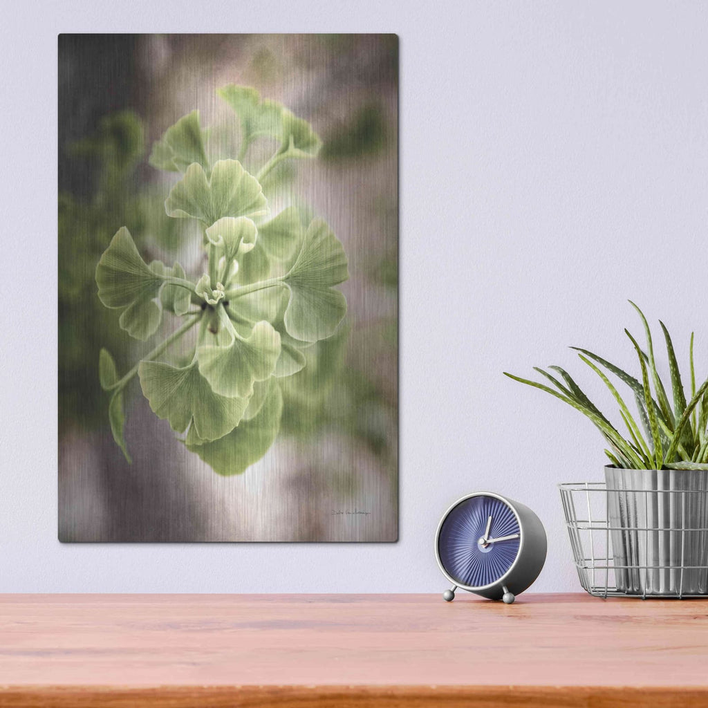 'Sprouting Ginkgo II' by Debra Van Swearingen – Metal Wall Art, 12x16 room view