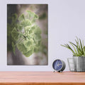 'Sprouting Ginkgo II' by Debra Van Swearingen – Metal Wall Art, 12x16 room view