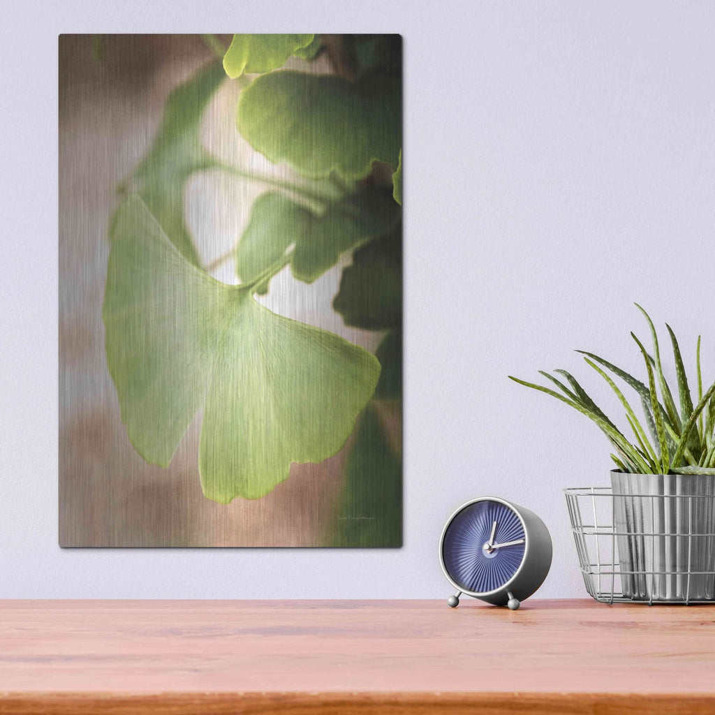 'Sprouting Ginkgo III' by Debra Van Swearingen – Metal Wall Art, 12x16 room view