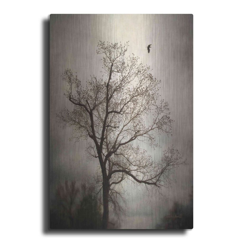 'The Flyover' by Debra Van Swearingen – Metal Wall Art