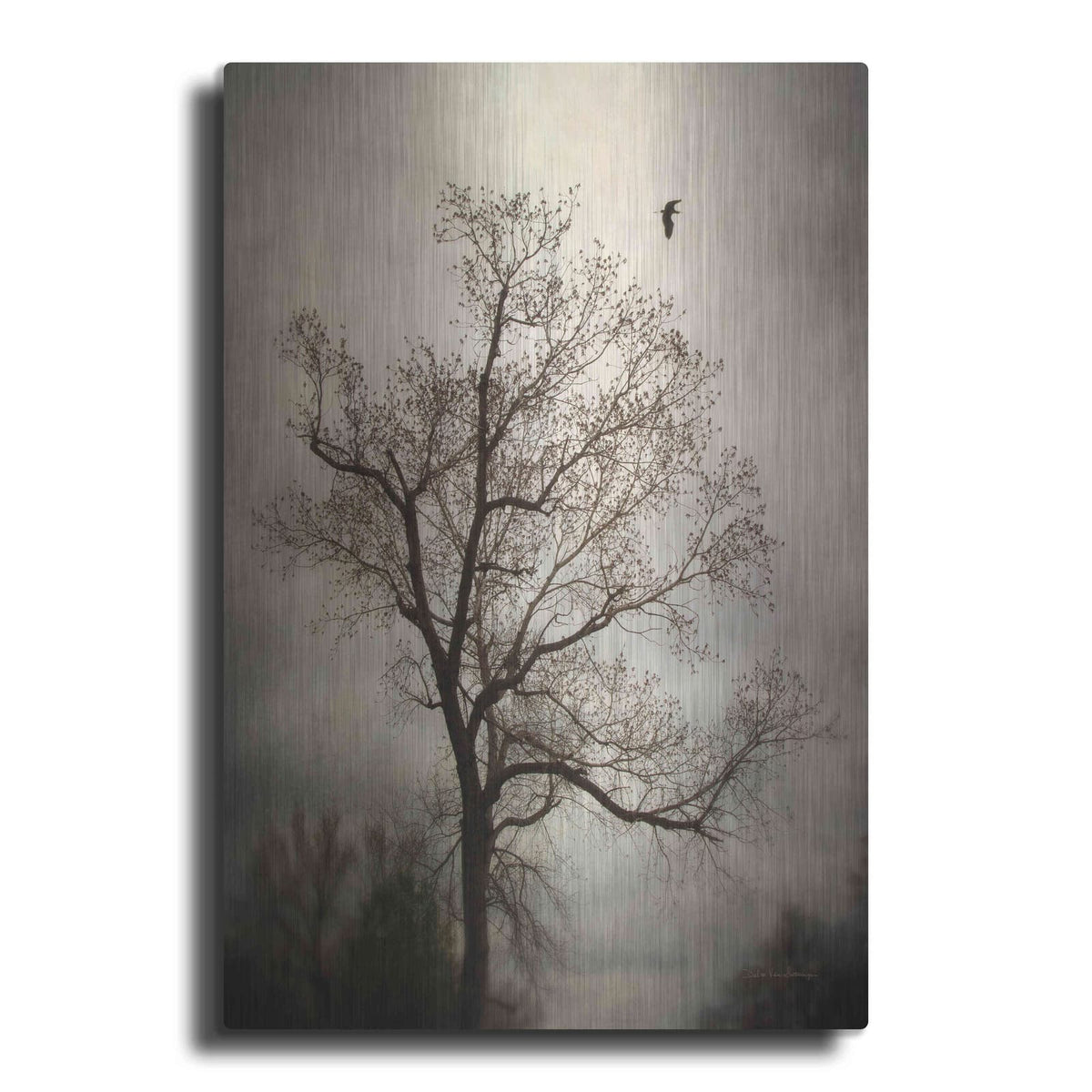 'The Flyover' by Debra Van Swearingen – Metal Wall Art