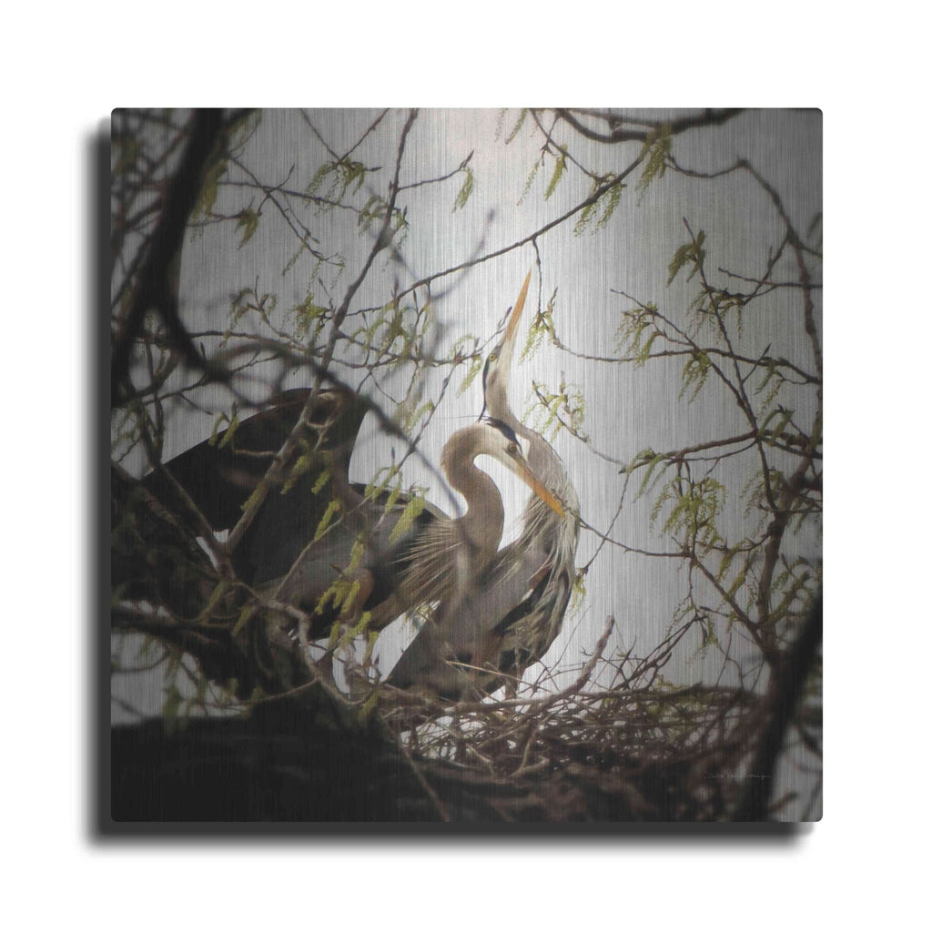 'Connection' by Debra Van Swearingen – Metal Wall Art