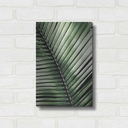 Luxe Metal Art 'Palm Frond I Green' by Debra Van Swearingen, Metal Wall Art,12x16