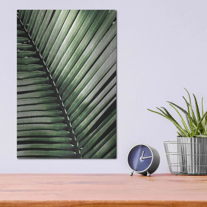 Luxe Metal Art 'Palm Frond I Green' by Debra Van Swearingen, Metal Wall Art,12x16