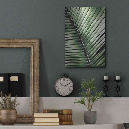 Luxe Metal Art 'Palm Frond I Green' by Debra Van Swearingen, Metal Wall Art,12x16