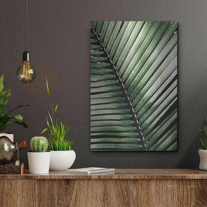 Luxe Metal Art 'Palm Frond I Green' by Debra Van Swearingen, Metal Wall Art,12x16