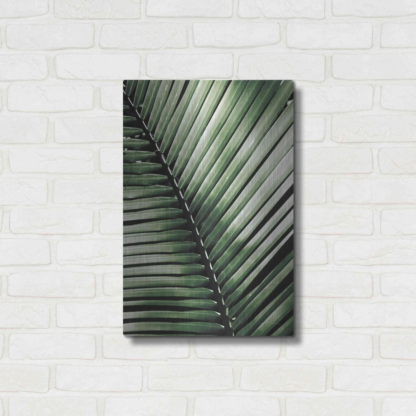 Luxe Metal Art 'Palm Frond I Green' by Debra Van Swearingen, Metal Wall Art,16x24