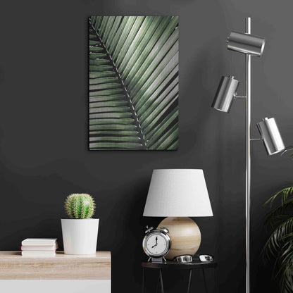 Luxe Metal Art 'Palm Frond I Green' by Debra Van Swearingen, Metal Wall Art,16x24