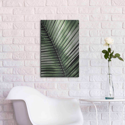 Luxe Metal Art 'Palm Frond I Green' by Debra Van Swearingen, Metal Wall Art,16x24