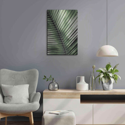 Luxe Metal Art 'Palm Frond I Green' by Debra Van Swearingen, Metal Wall Art,16x24