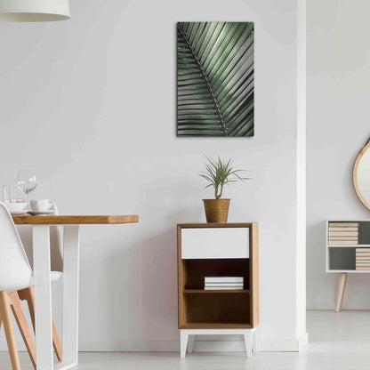 Luxe Metal Art 'Palm Frond I Green' by Debra Van Swearingen, Metal Wall Art,16x24