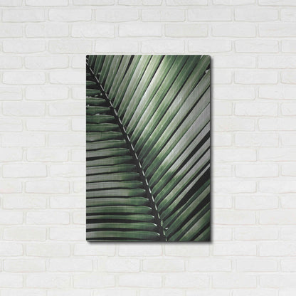 Luxe Metal Art 'Palm Frond I Green' by Debra Van Swearingen, Metal Wall Art,24x36
