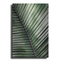 Luxe Metal Art 'Palm Frond I Green' by Debra Van Swearingen, Metal Wall Art