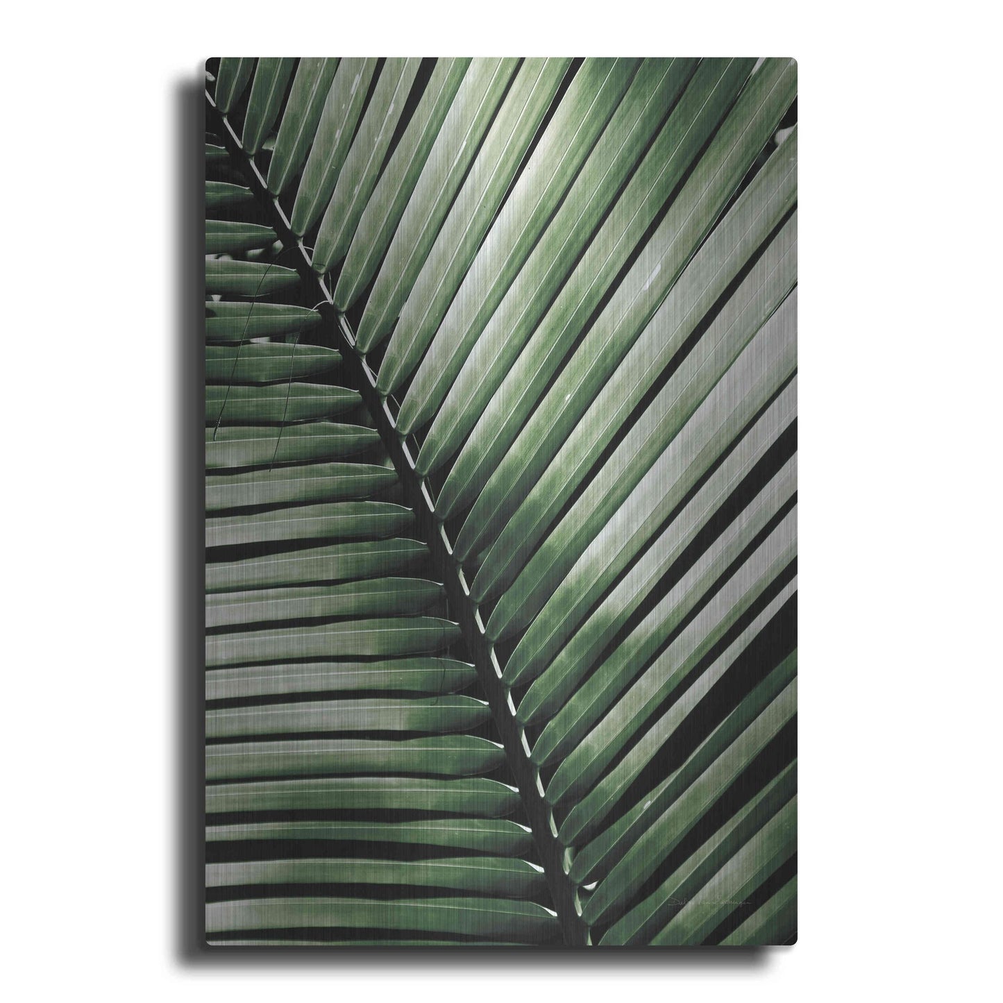 Luxe Metal Art 'Palm Frond I Green' by Debra Van Swearingen, Metal Wall Art