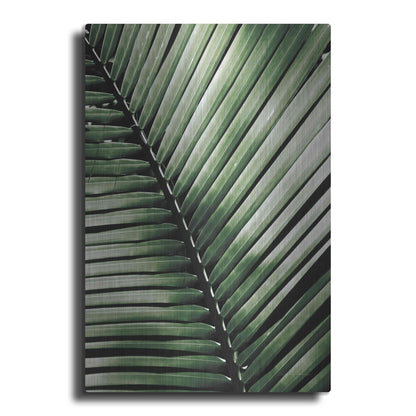 Luxe Metal Art 'Palm Frond I Green' by Debra Van Swearingen, Metal Wall Art
