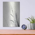 'Field Grasses II' by Debra Van Swearingen – Metal Wall Art, 12x16 room view