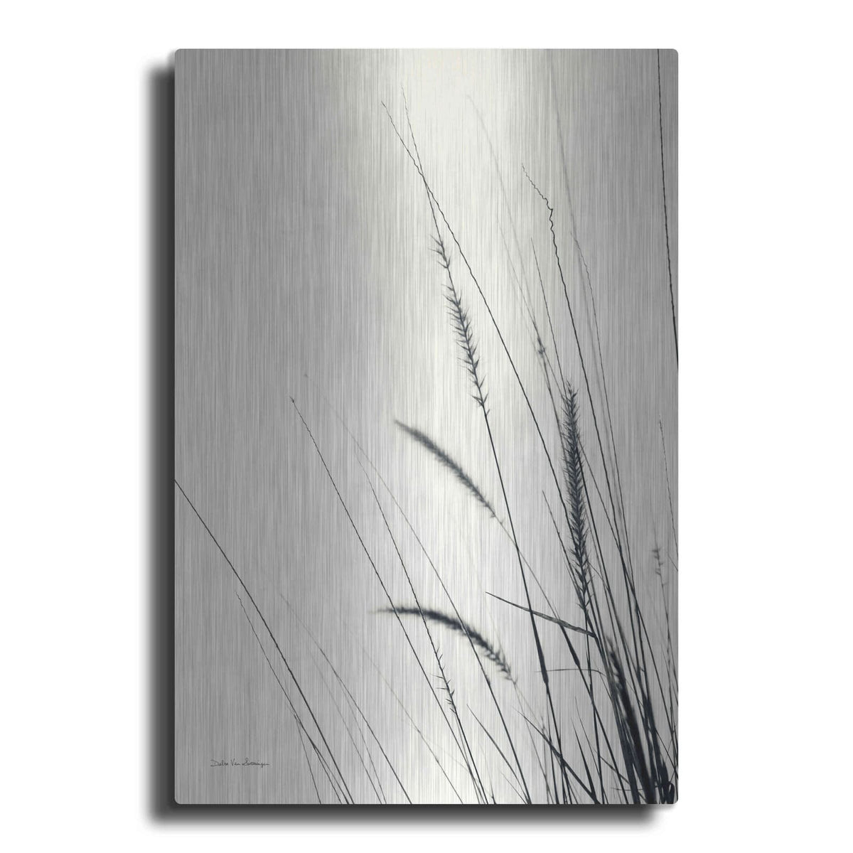 'Field Grasses II' by Debra Van Swearingen – Metal Wall Art