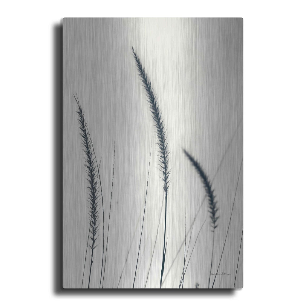 'Field Grasses IV' by Debra Van Swearingen – Metal Wall Art
