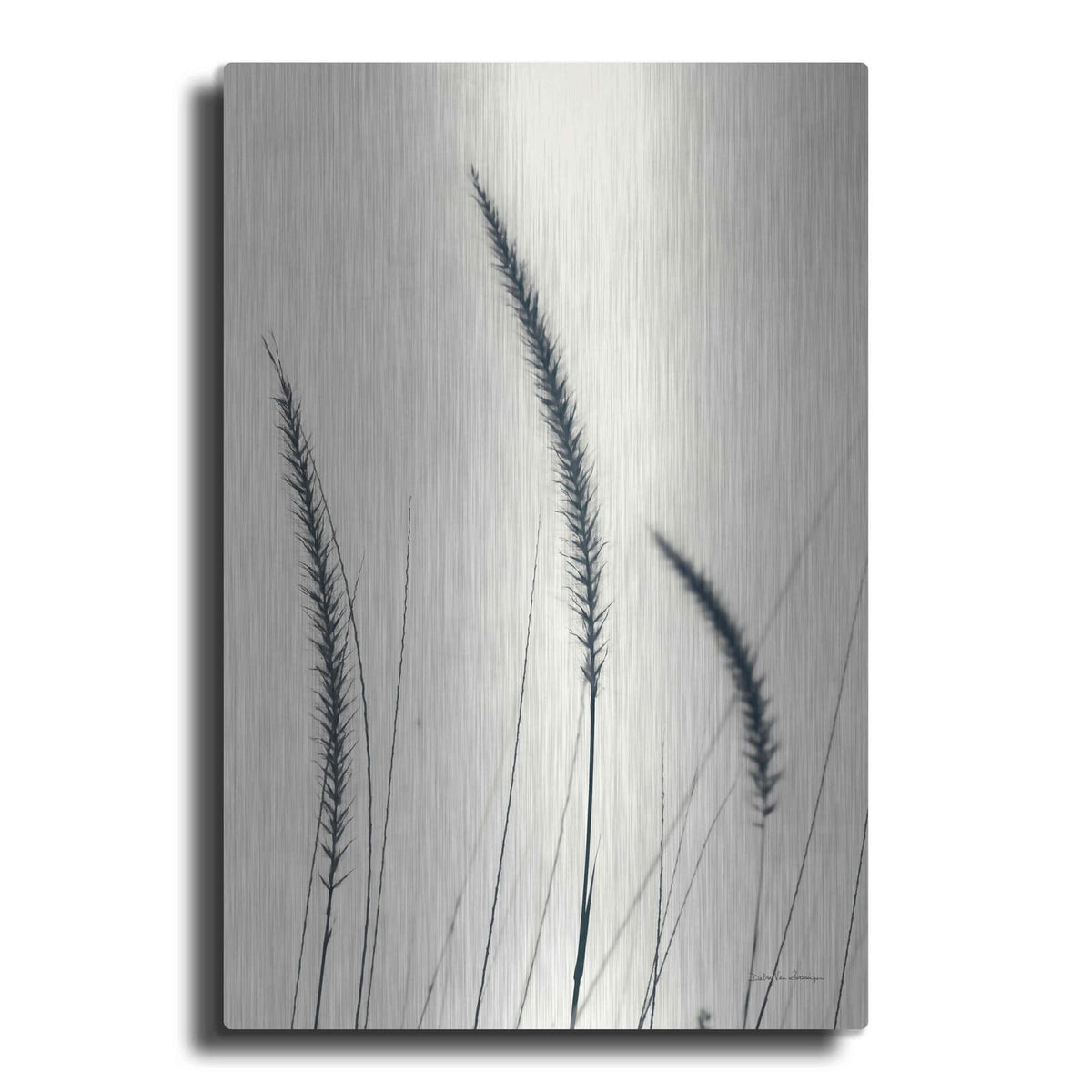 'Field Grasses IV' by Debra Van Swearingen – Metal Wall Art