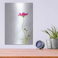 'Magenta Cosmos II' by Debra Van Swearingen – Metal Wall Art, 12x16 room view