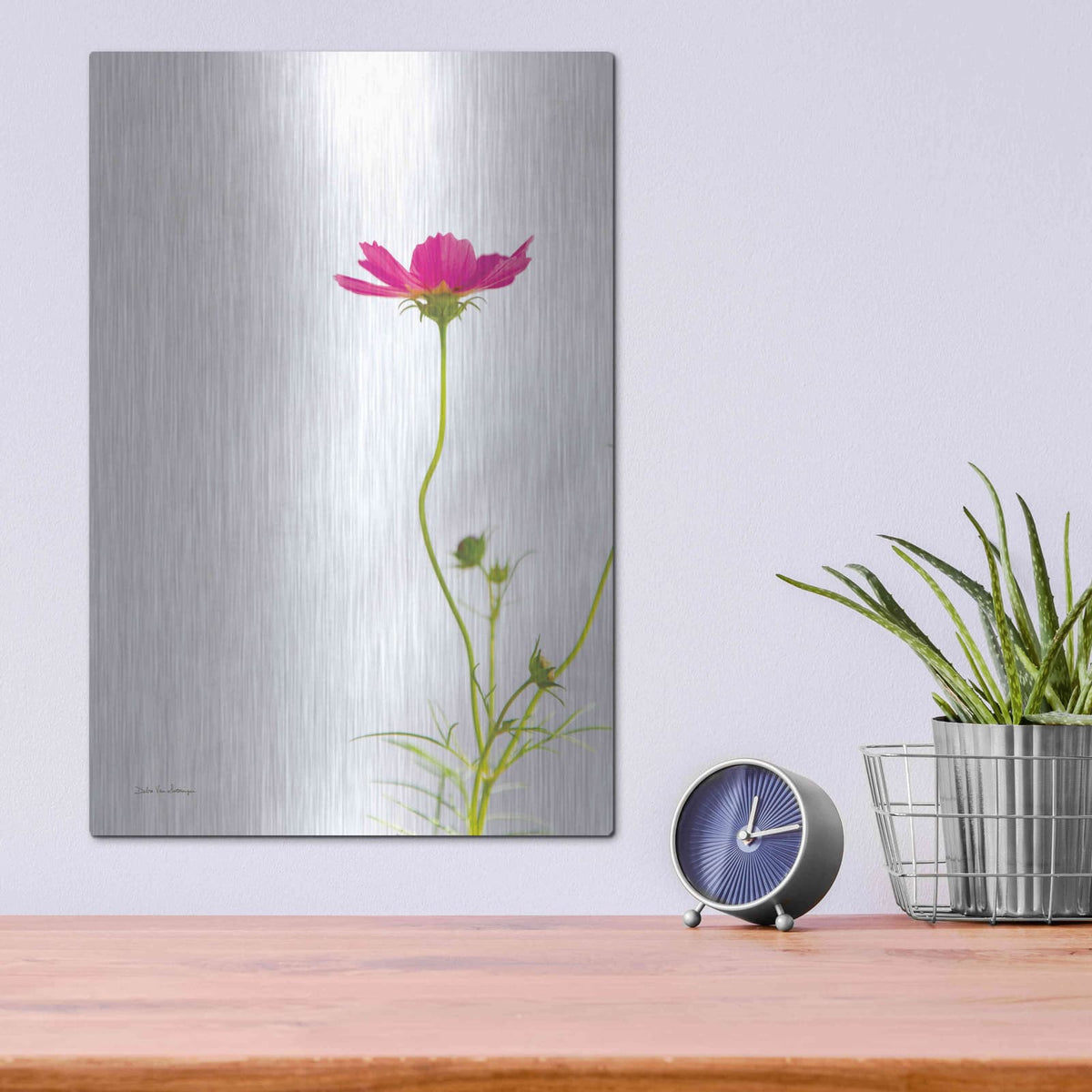 'Magenta Cosmos II' by Debra Van Swearingen – Metal Wall Art, 12x16 room view