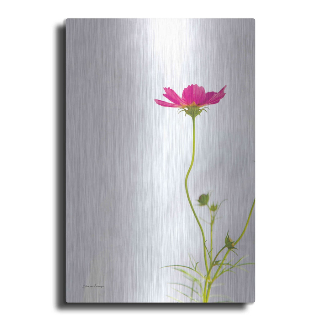 'Magenta Cosmos II' by Debra Van Swearingen – Metal Wall Art