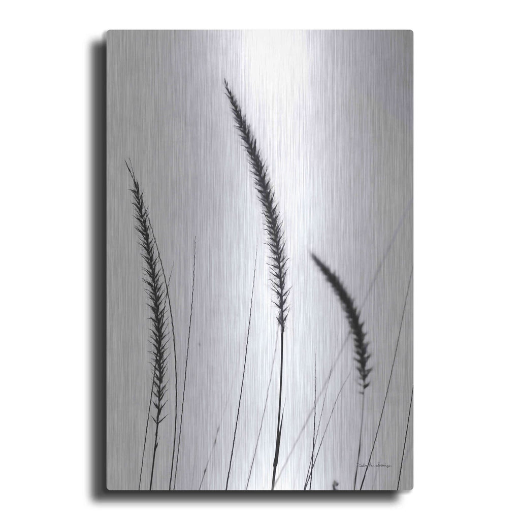 'Field Grasses IV White' by Debra Van Swearingen – Metal Wall Art