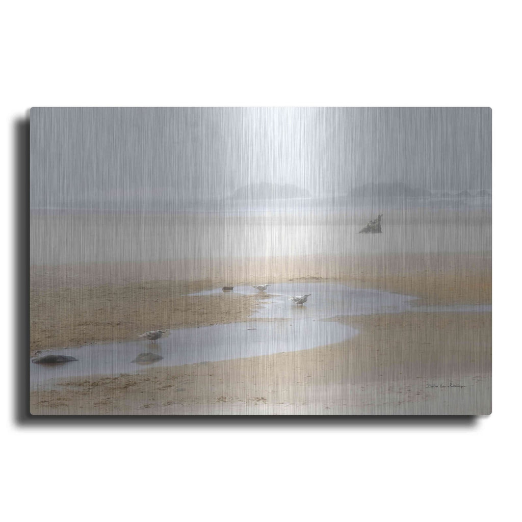 'Cold Beach II' by Debra Van Swearingen – Metal Wall Art