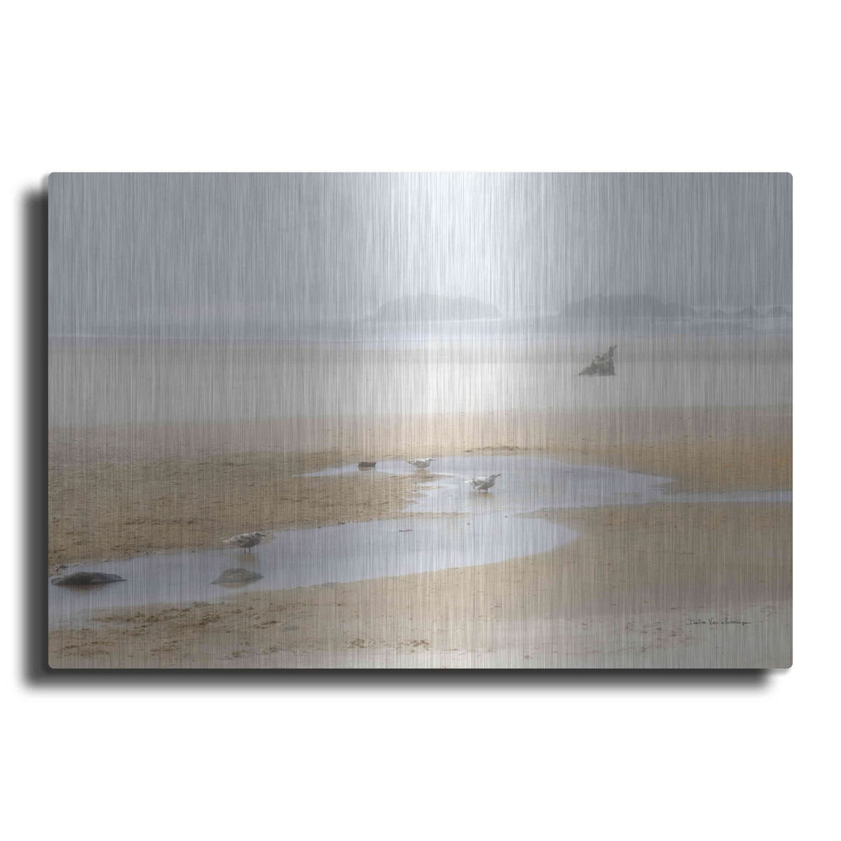 'Cold Beach II' by Debra Van Swearingen – Metal Wall Art