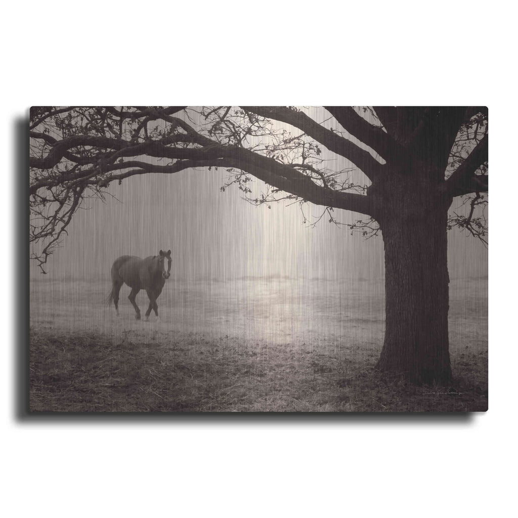 'Hazy Horse I' by Debra Van Swearingen – Metal Wall Art