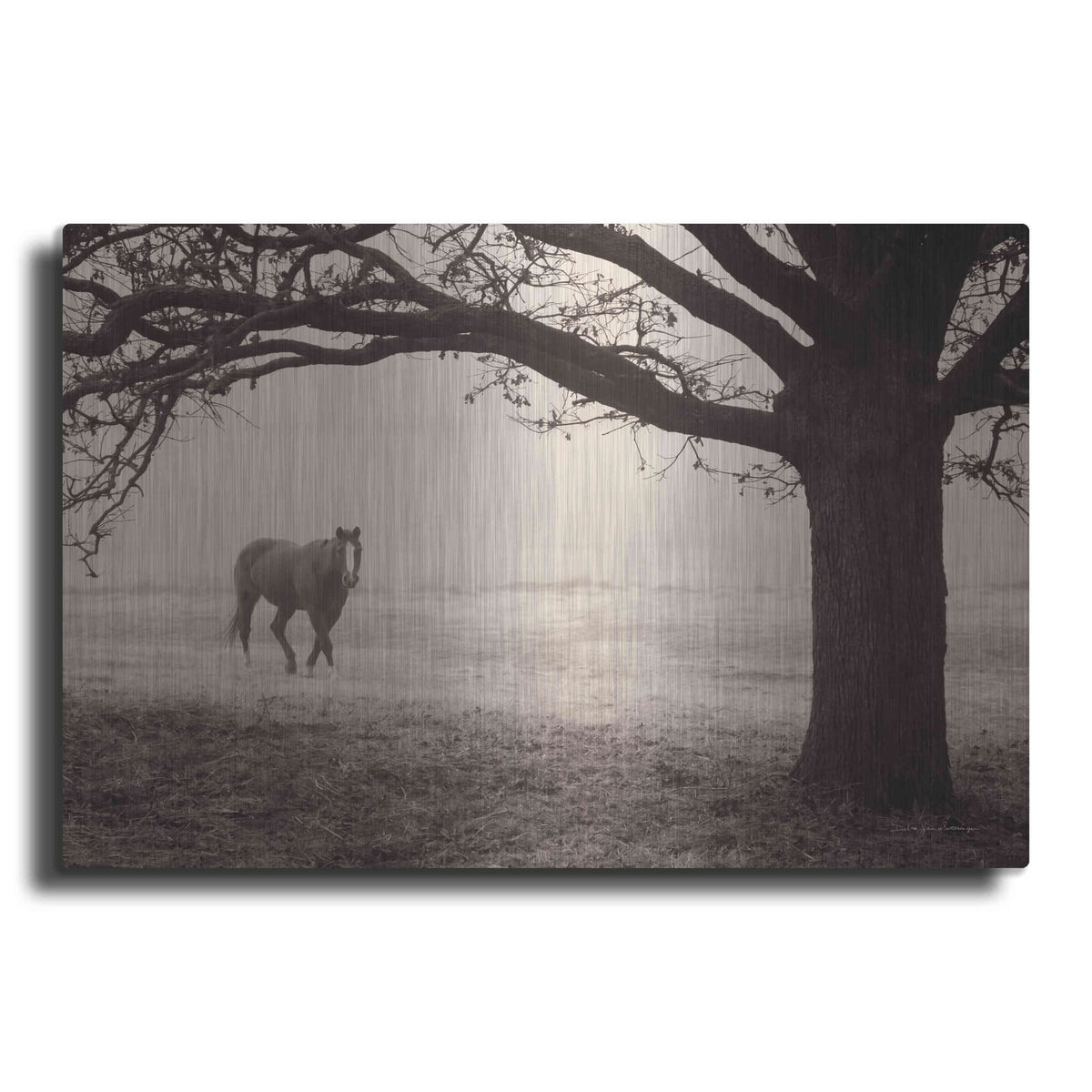 'Hazy Horse I' by Debra Van Swearingen – Metal Wall Art