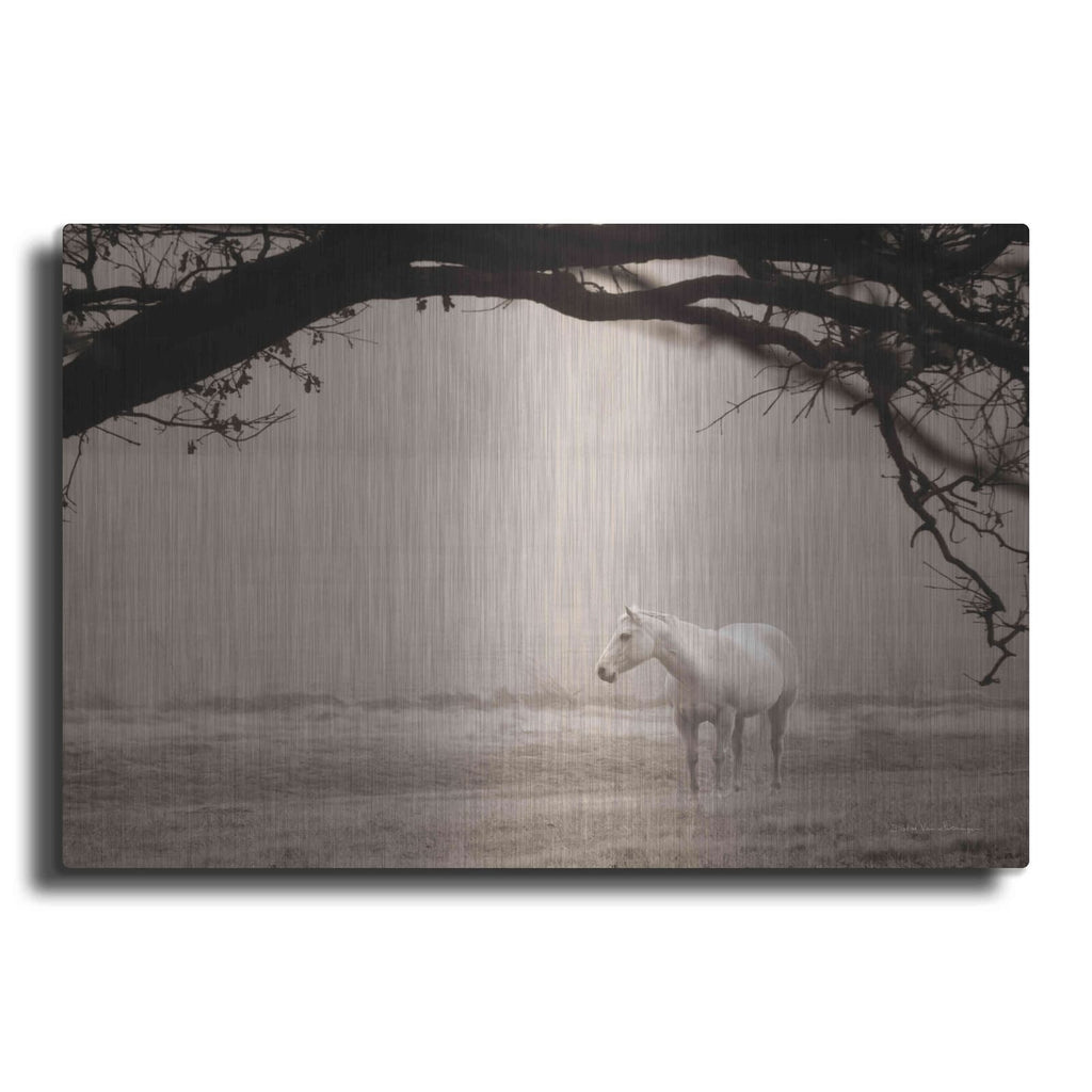 'Hazy Horse II' by Debra Van Swearingen – Metal Wall Art