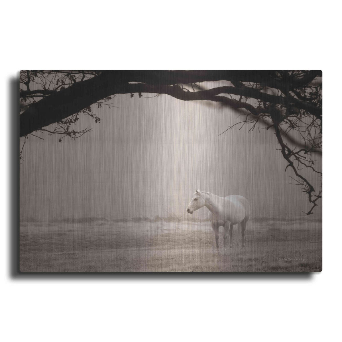 'Hazy Horse II' by Debra Van Swearingen – Metal Wall Art