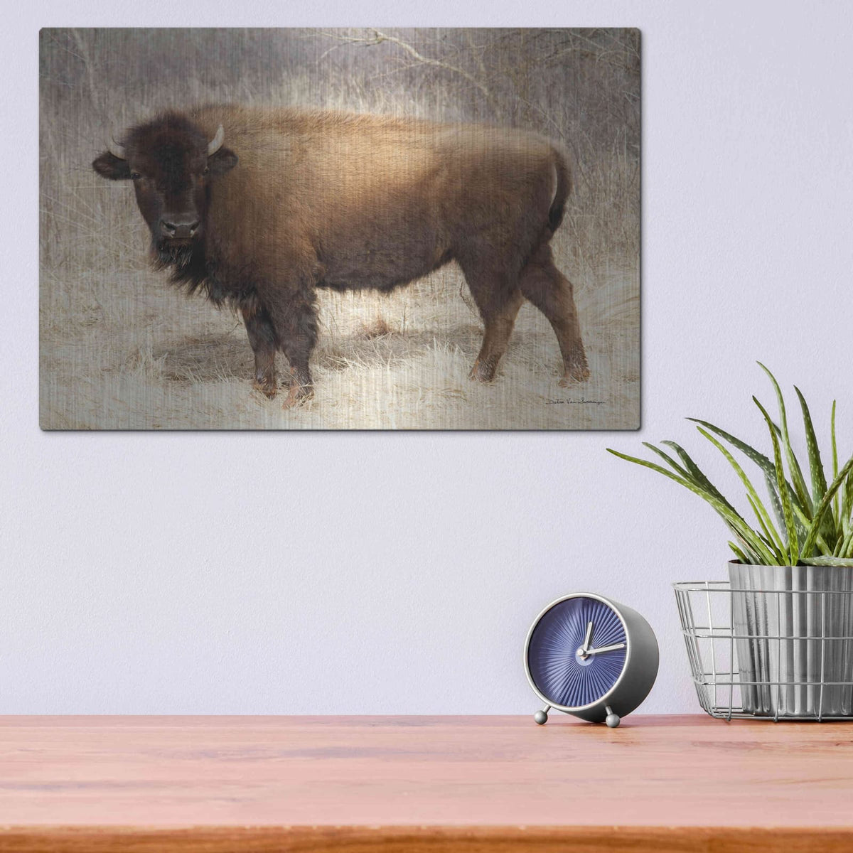 'American Bison I' by Debra Van Swearingen – Metal Wall Art, 16x12 room view