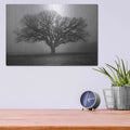 'Evening Mist' by Debra Van Swearingen – Metal Wall Art, 16x12 room view