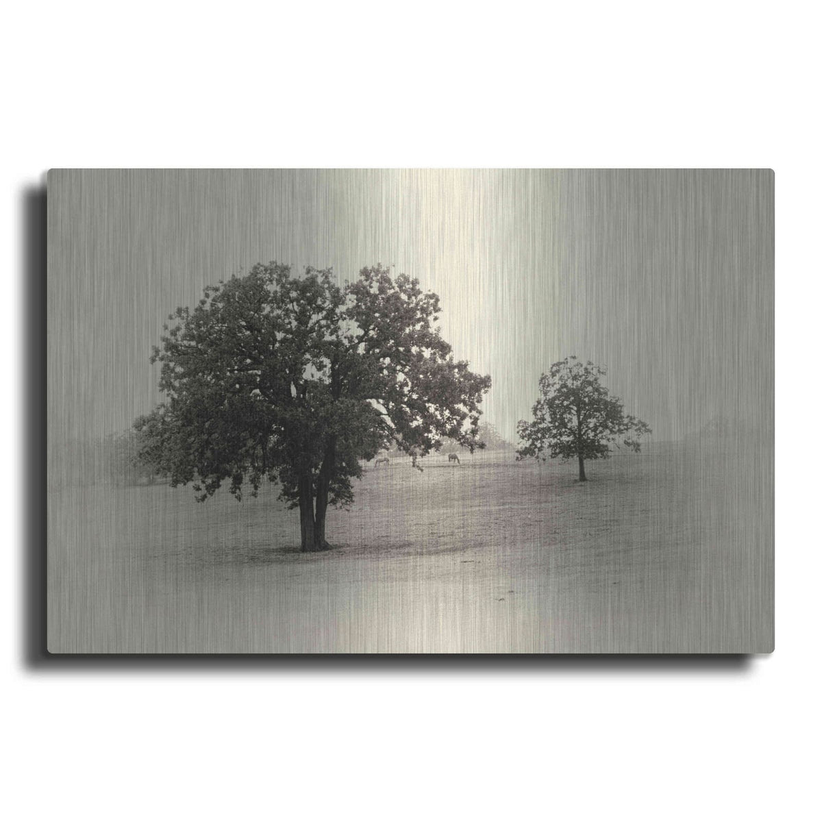 'Horses and Trees II' by Debra Van Swearingen – Metal Wall Art