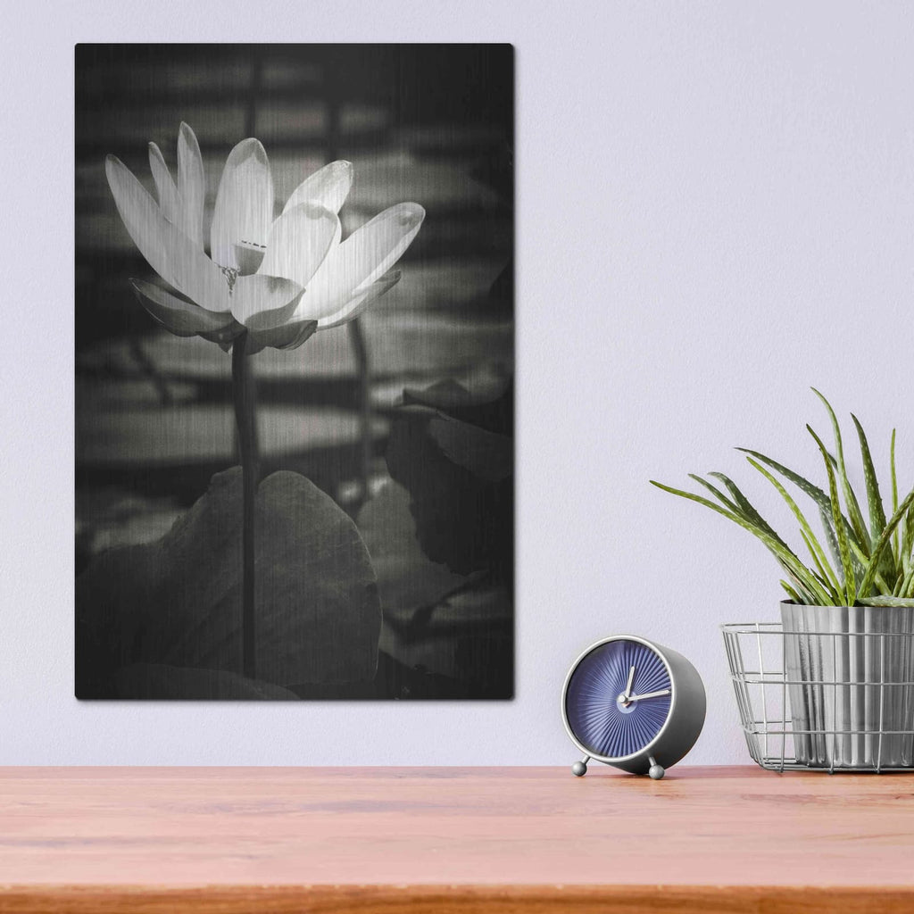 'Lotus Flower VIII' by Debra Van Swearingen – Metal Wall Art, 12x16 room view