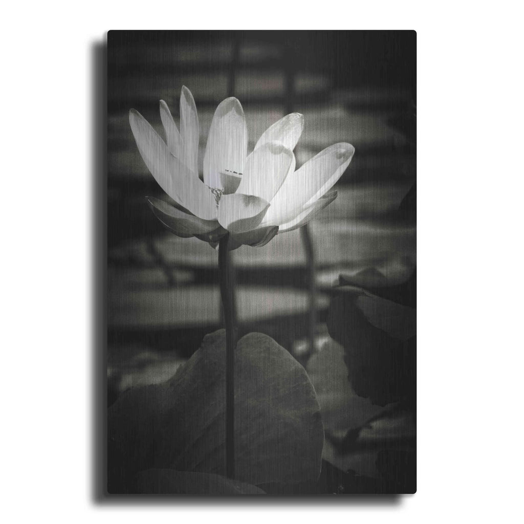 'Lotus Flower VIII' by Debra Van Swearingen – Metal Wall Art