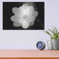 'Lotus Flower III' by Debra Van Swearingen – Metal Wall Art, 16x12 room view