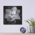 'Magnolia' by Debra Van Swearingen – Metal Wall Art, 12x12 room view