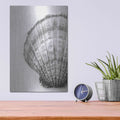 'On The Half Shell' by Debra Van Swearingen – Metal Wall Art, 12x16 room view