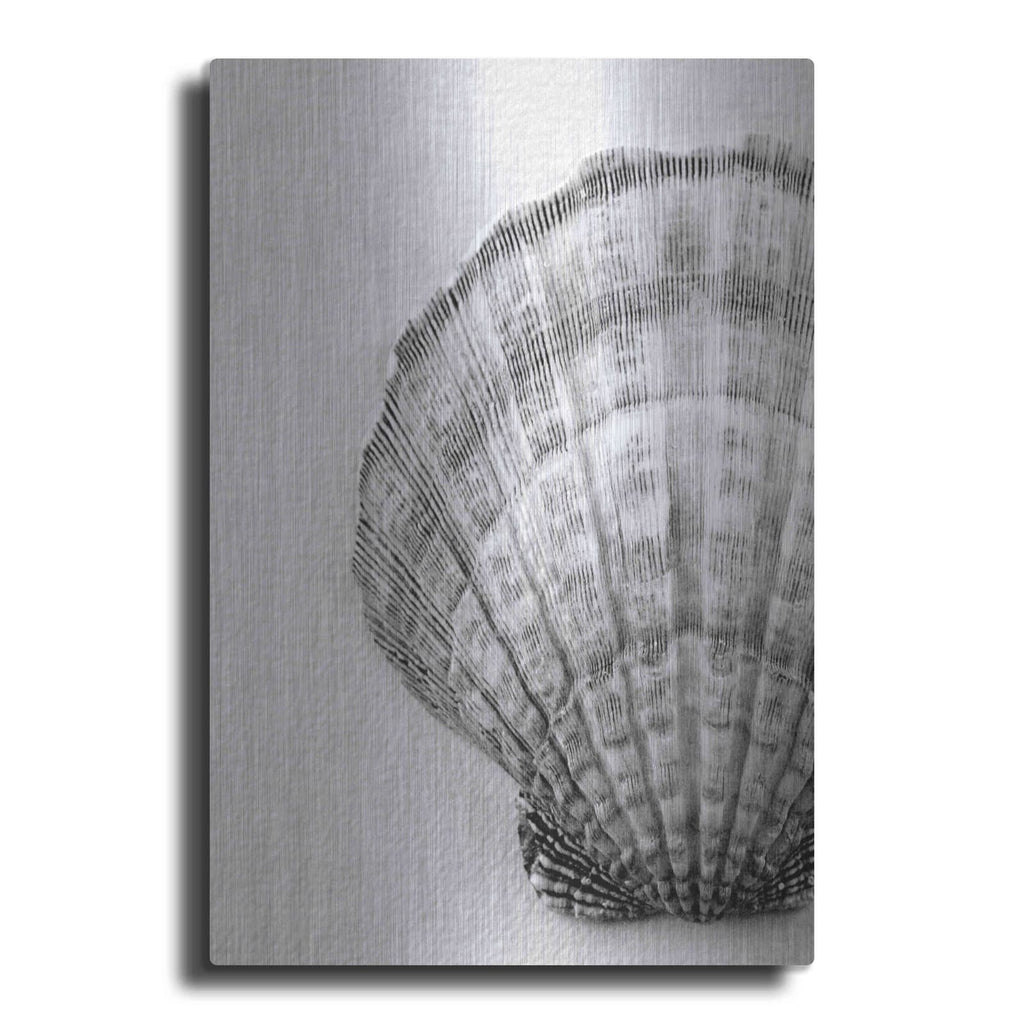 'On The Half Shell' by Debra Van Swearingen – Metal Wall Art