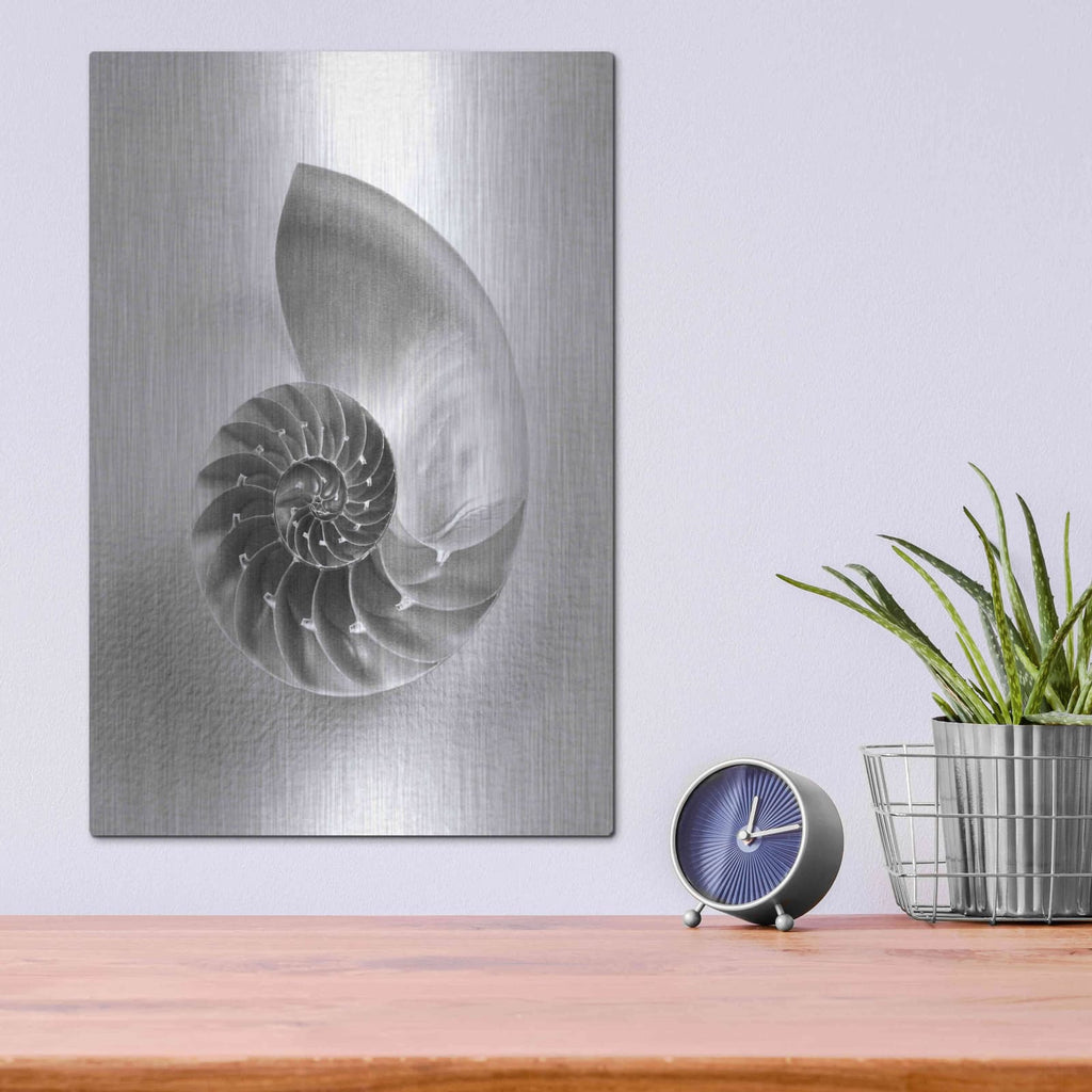 'Nautilus 4' by Debra Van Swearingen – Metal Wall Art, 12x16 room view
