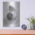 'Nautilus 4' by Debra Van Swearingen – Metal Wall Art, 12x16 room view