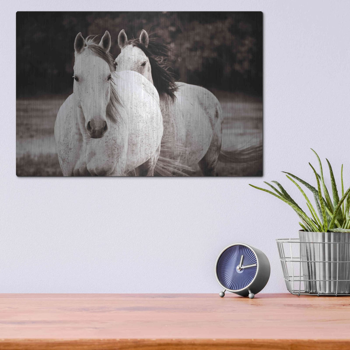 'Two Wild Horses Sepia' by Debra Van Swearingen – Metal Wall Art, 16x12 room view